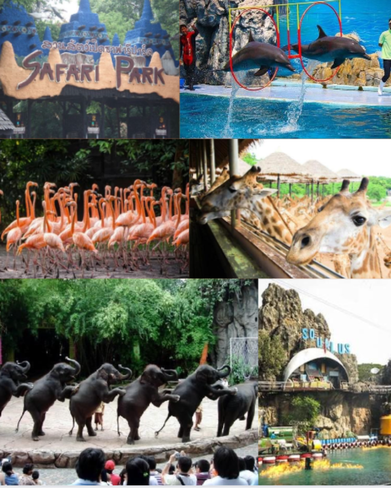 Safari World